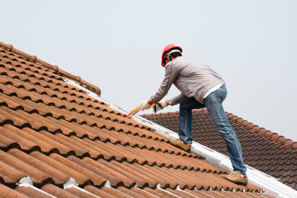 Best Roof Ventilation Installation  in Meadows Place, TX